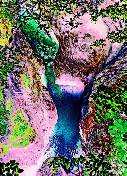 N 137C